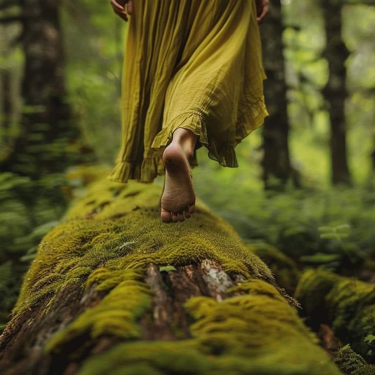 53e7ef4a7e9f58789a8b4e249b09c331